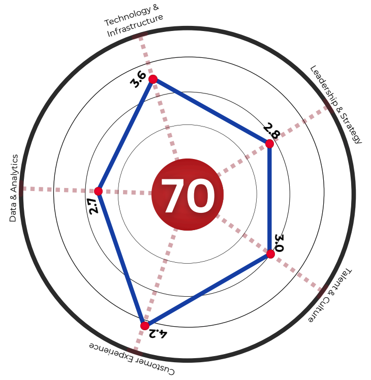 digital maturity assessment score 5 pillar graphic